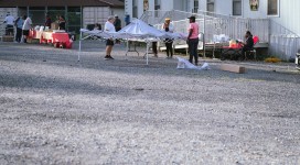 Walk of Hope (WOH) 2024 in Action